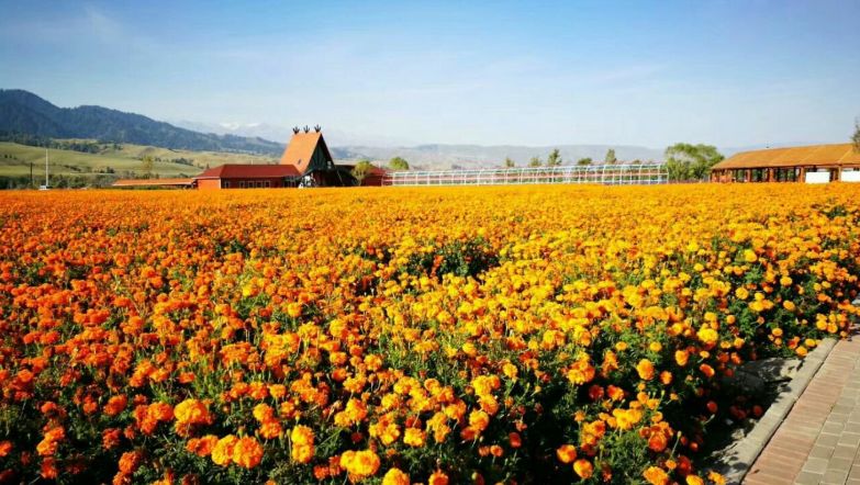 选好出行路线,选日期出行