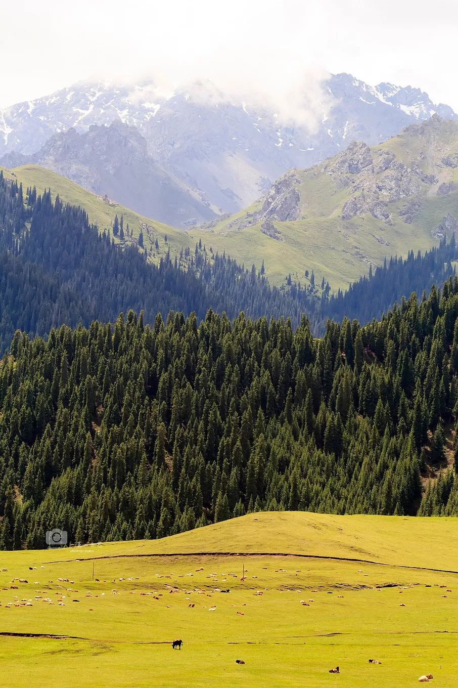 选好出行路线,选日期出行