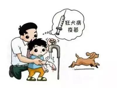 科普正确认识狂犬病,北京疾控中心预防狂犬病