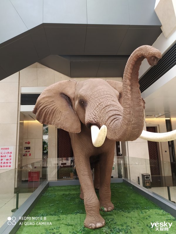 荣耀8x和play3哪个拍照好,荣耀play3和畅享10拍照