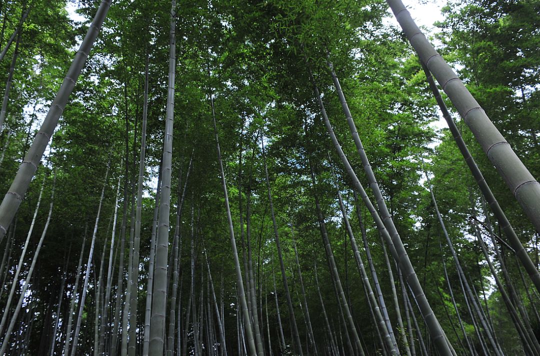 摩旅皖南川藏线到黄山自驾游攻略,安徽摩旅旅游攻略推荐
