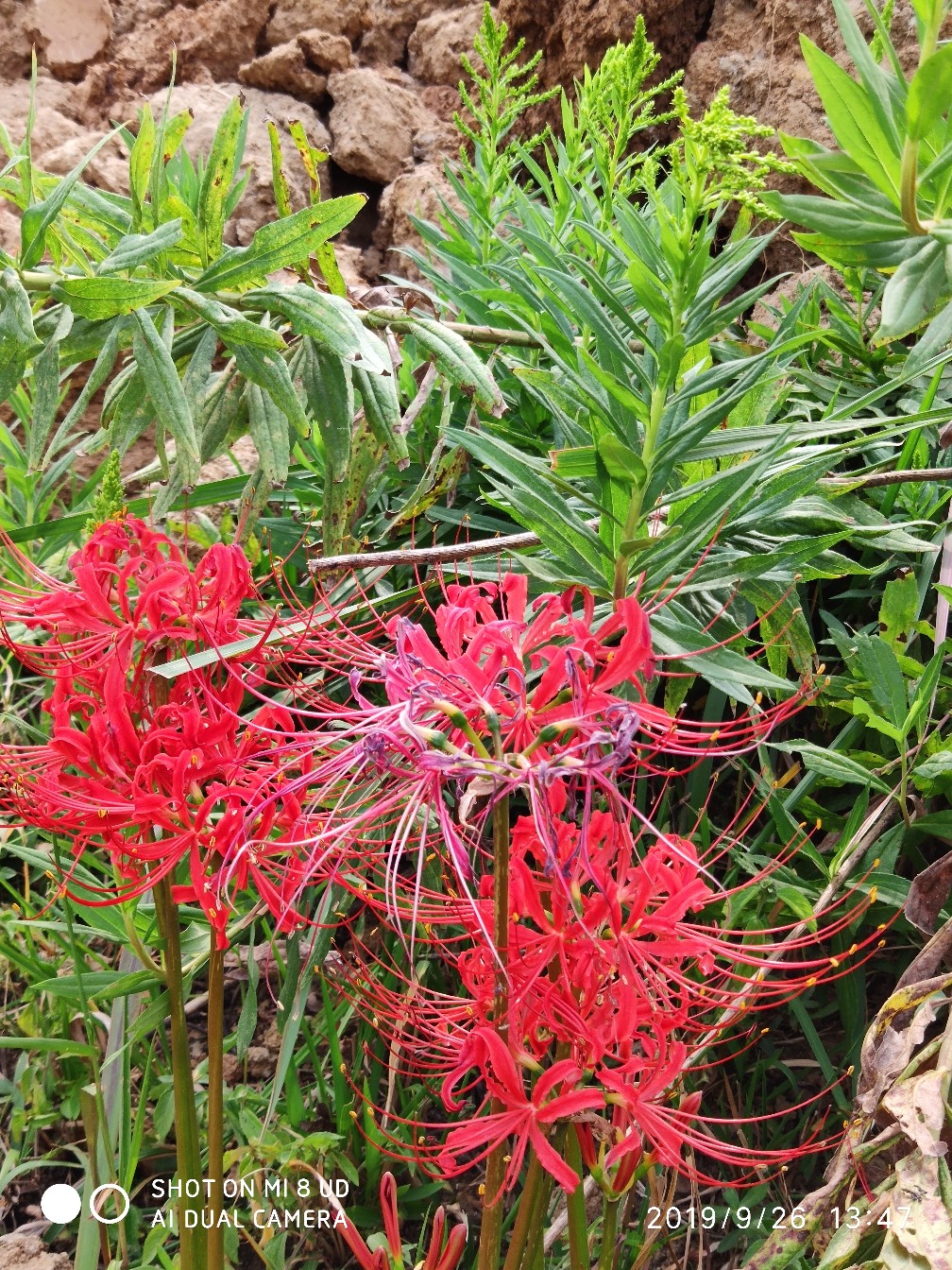 提高路亚中鱼率,打黑用什么假饵中鱼率高