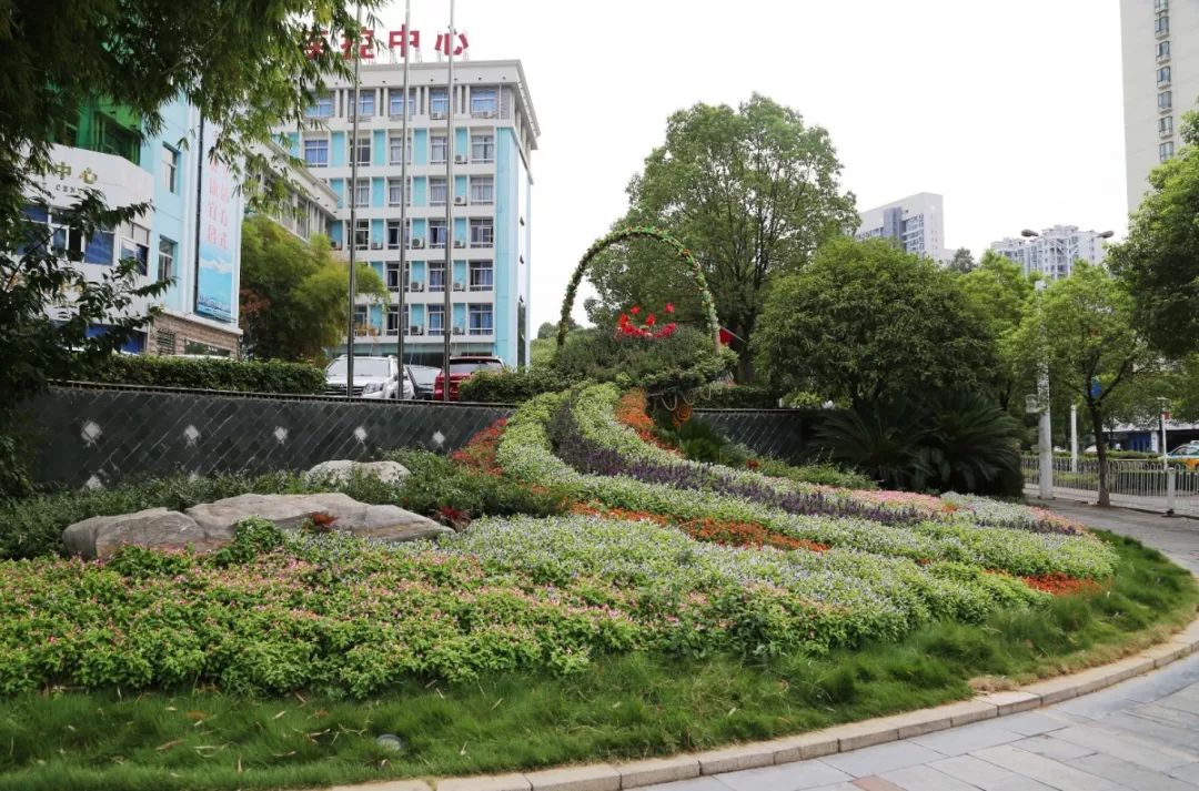 花漾宜昌如此美丽！44万盆鲜花全城绽放