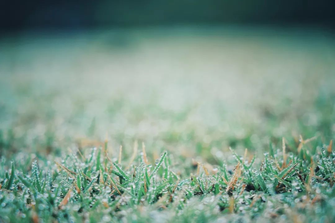 2019年寒露具体时间,今天寒露具体时间