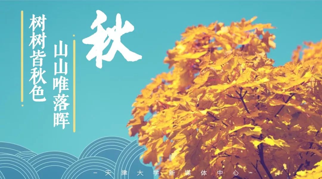 天津大学非全日制博士招生简章,天津大学博士研究生招生简章2024