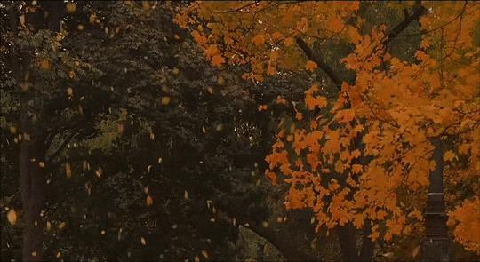 10月19日，到北京朝阳公园，来一场MINI酷跑吧