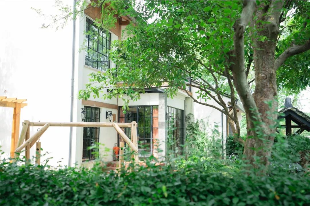 耗时3年的花间堂创始人新作，以船代步揭开杭城小众一面