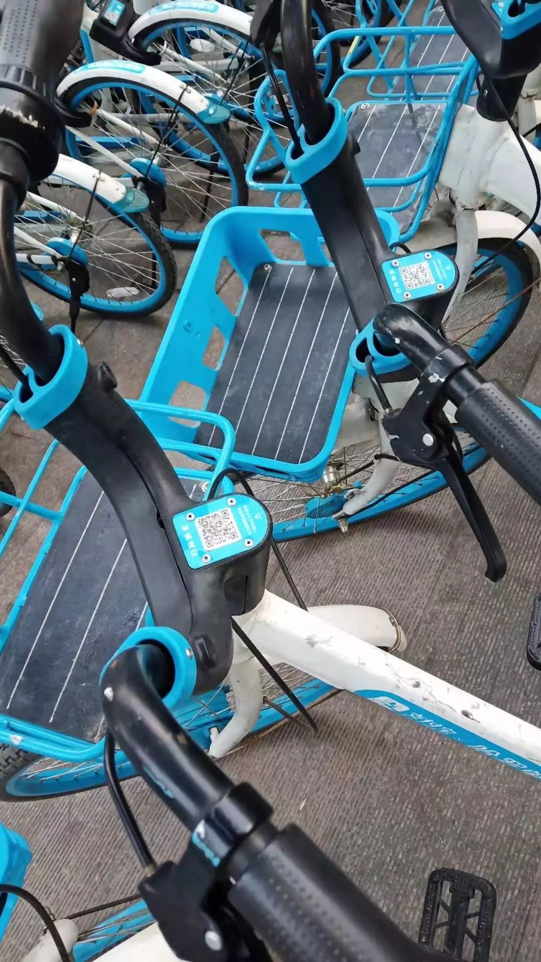 骑共享单车注意事项,骑共享单车有什么要注意的