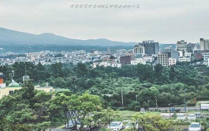 免签飞机票便宜的国家,免签机票便宜吗