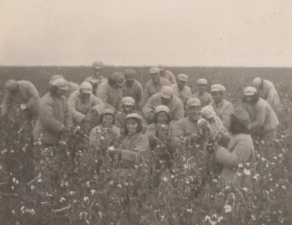 澹附涓冨崄骞磋嚧鏁柊鏃朵唬,澹附70骞磋嚧鏁柊鏃朵唬