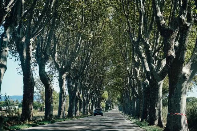 法国自驾游详细攻略,法国自驾全攻略