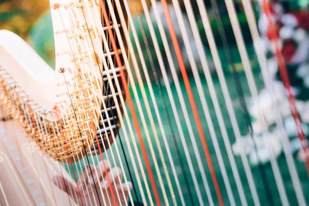 直道相思了无益完全诗句,那些相思入骨的绝美诗句