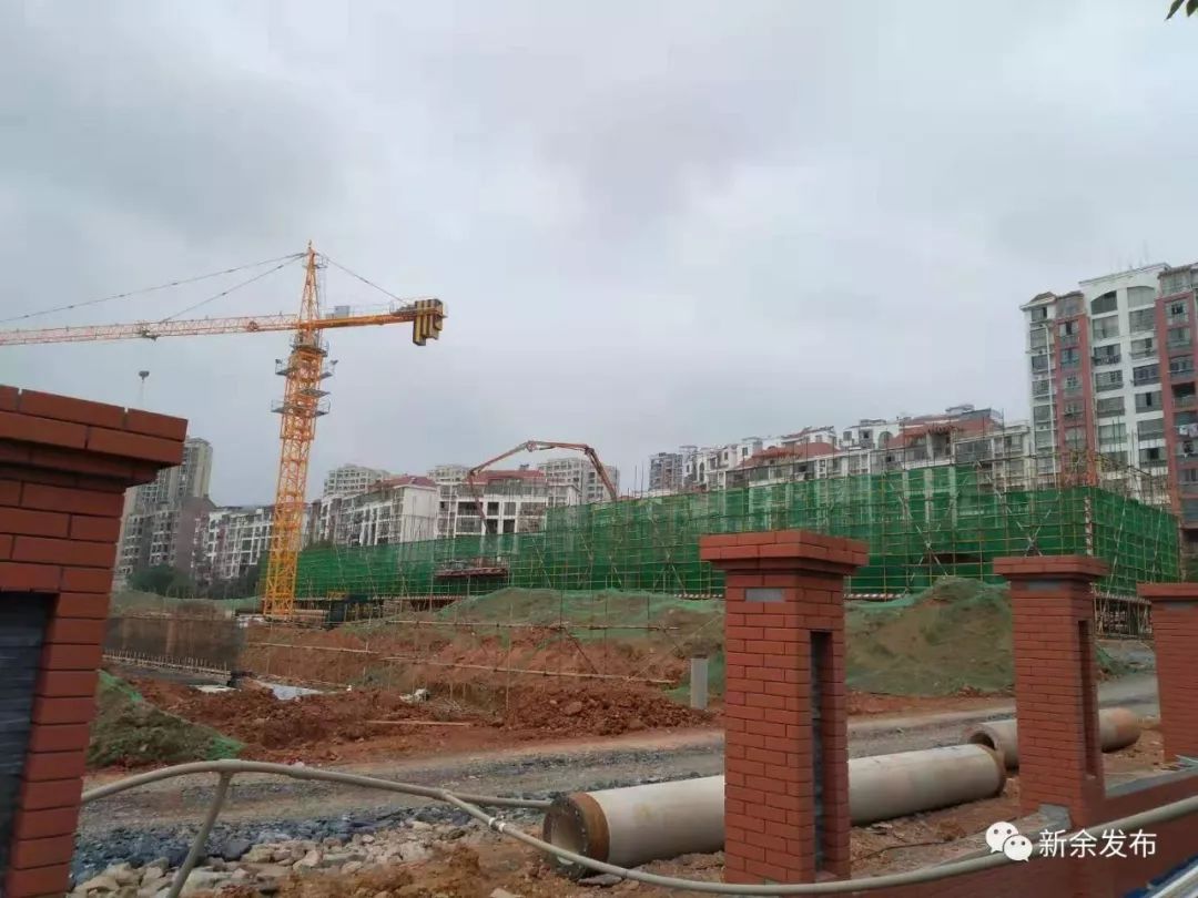 新余学区房划分最新,2023新余中小学划片