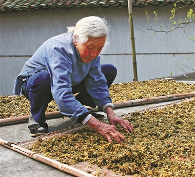 慈溪“三白”与绍兴“三乌”