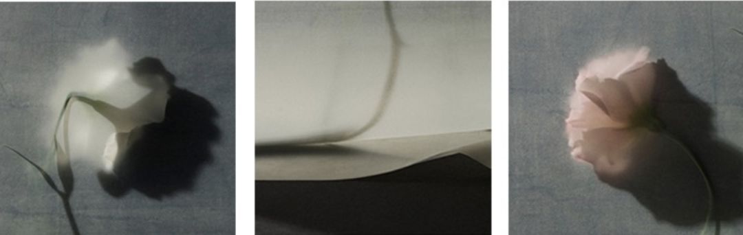 又美又好用的小众洗护，藏着你对生活的细腻追求