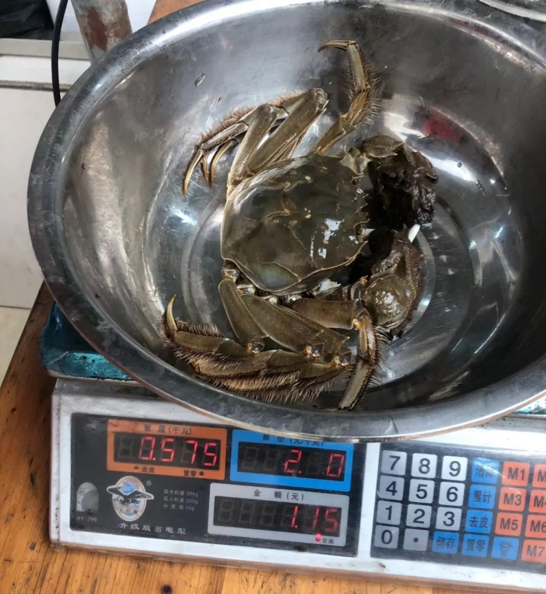 阳澄湖大闸蟹最佳吃蟹时间段,阳澄湖大闸蟹的最近品尝时间