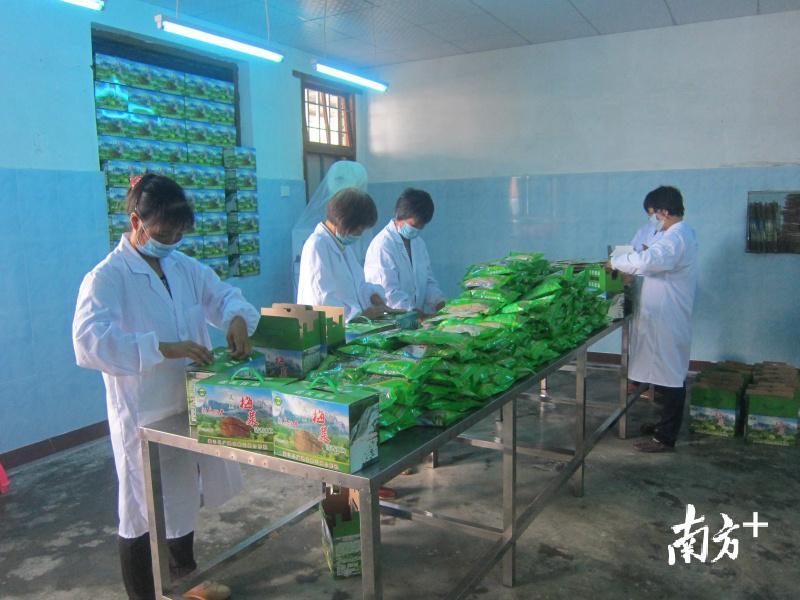 乡村振兴一户一块田,如何做到丘陵乡村振兴