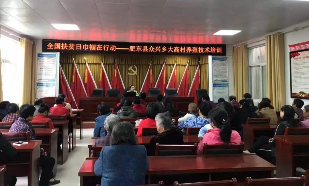 脱贫攻坚巾帼在行动|合肥有20名“最美巾帼脱贫攻坚人”受表彰！看看有你认识的没？