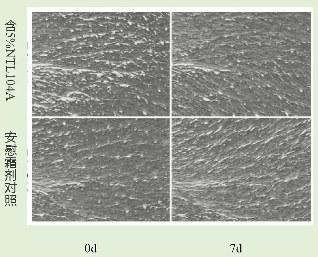 眼膜贴八小时紧致抗皱淡细纹,官方眼膜紧致抗皱淡细纹法令纹