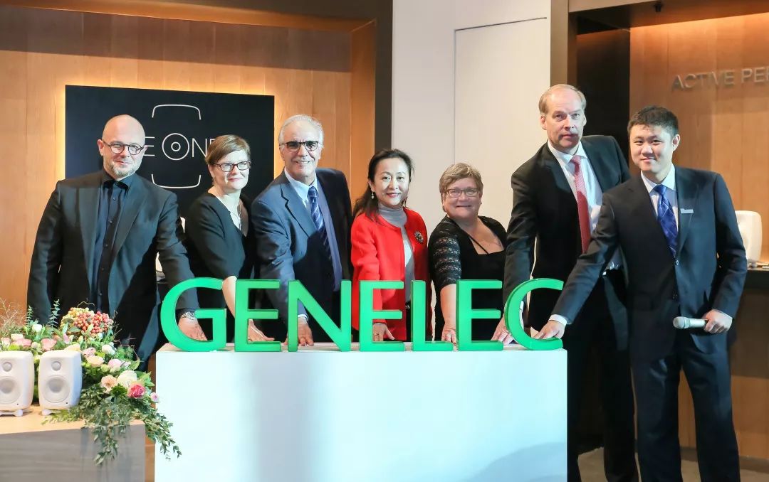 genelec真力8010a几寸的,genelec真力8381多少钱