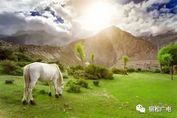 宿松故事,宿松县城南国小长城