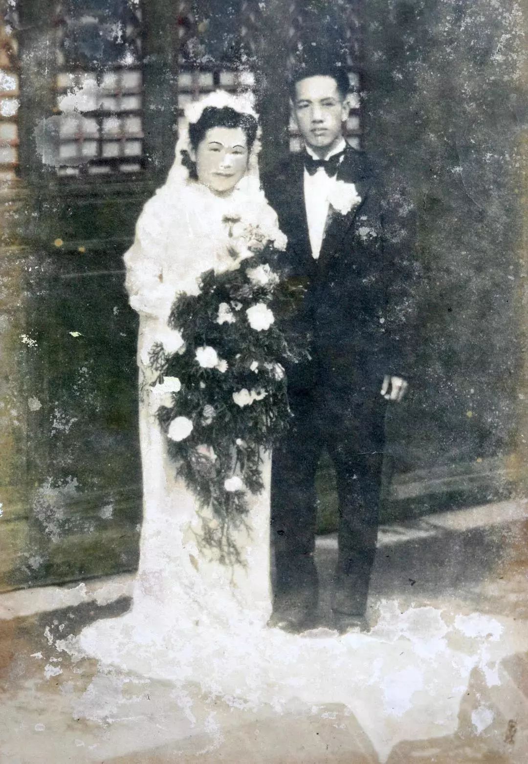 又一香港青年！考入岭大，弃文从医，成为我国兽医药理学学科奠基人