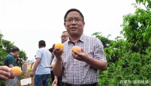 网红县长直播卖土特产,网红和莘县县长直播卖土特产