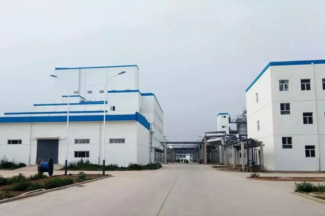 保定天鹅何以能展翅高飞？转型升级给出答案