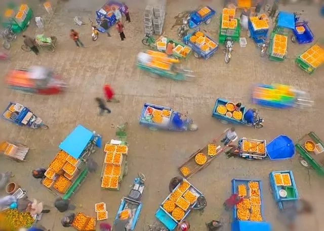 浙江哪里的橘子很有名,浙江最好的橘子