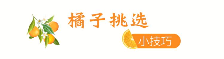 浙江哪里的橘子很有名,浙江最好的橘子