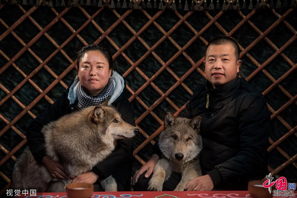 生活不易被迫营业看萌宠如何为自己“赚”口粮