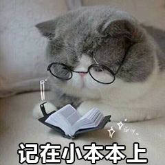 戏精夫妇免费观看,戏精夫妇撒糖电视剧