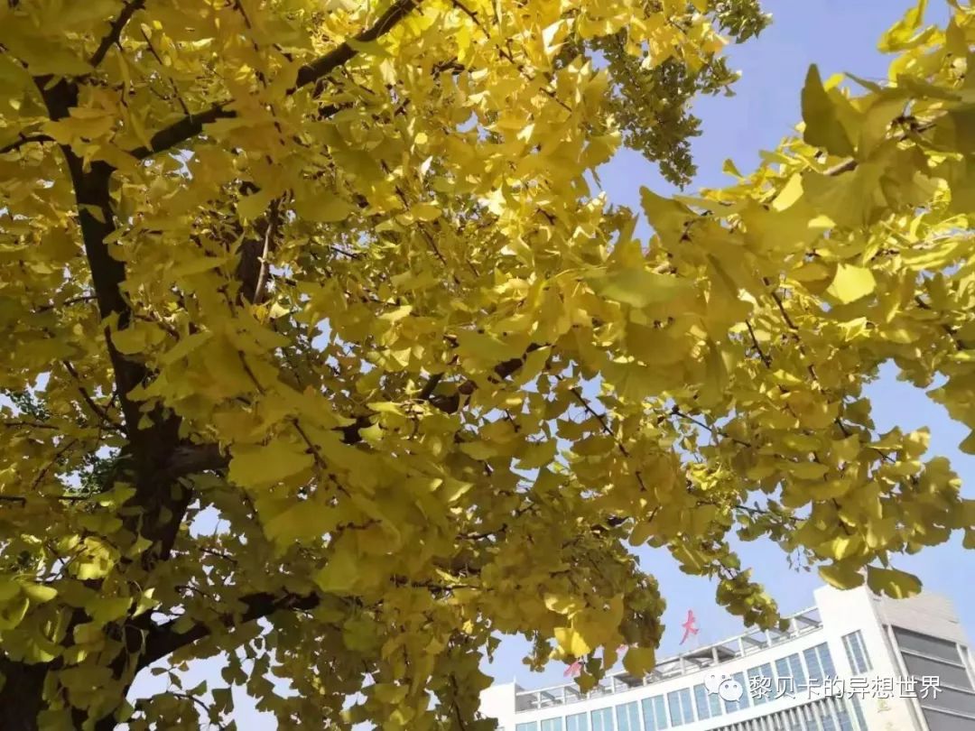 贝壳分享｜|她们说，秋冬也要认真穿