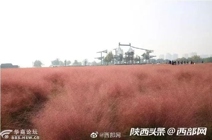 西安100多辆车车胎被扎,陕西一车主被扎坏72条轮胎