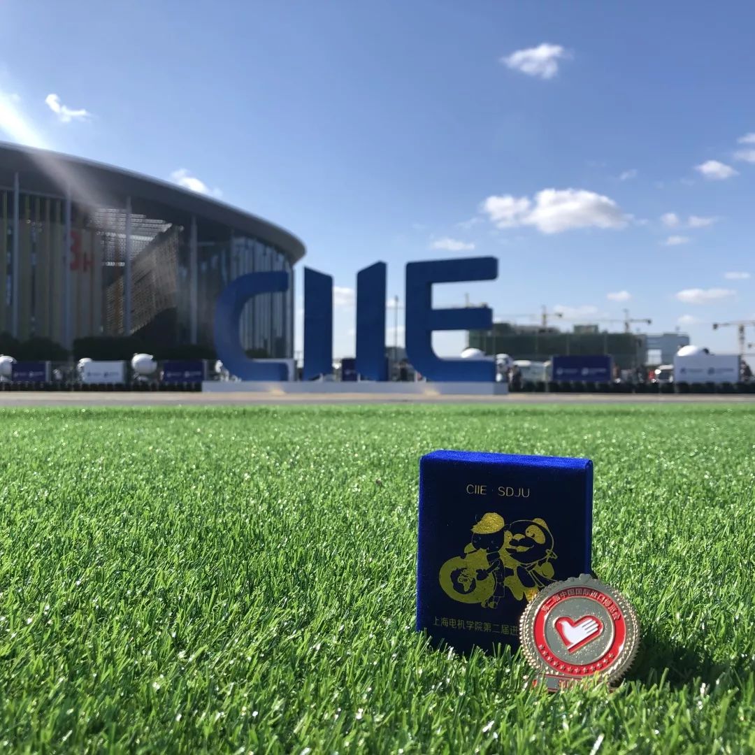 进博会小叶子上海理工大学,进博会中的小叶子