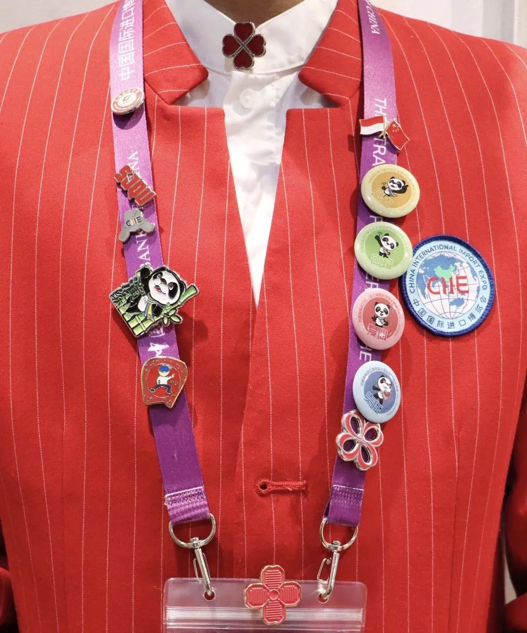 进博会小叶子上海理工大学,进博会中的小叶子