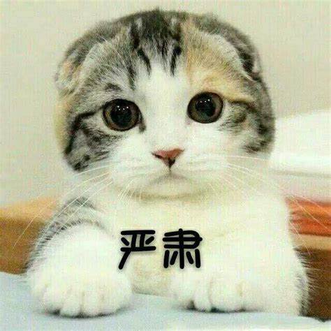 用暗号“花式”售烟？外卖的“马甲”该被扒下来了