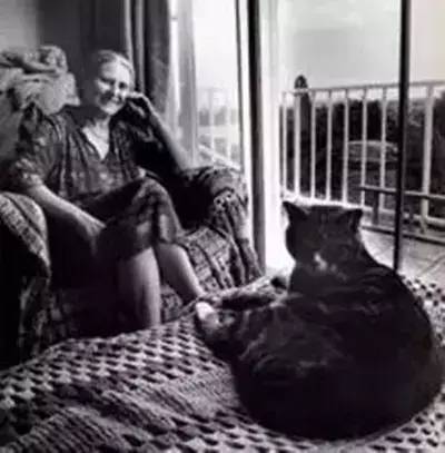 女人与猫,女人与猫的共同之处