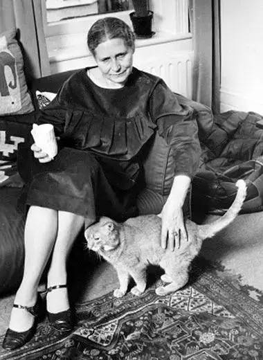 女人与猫,女人与猫的共同之处