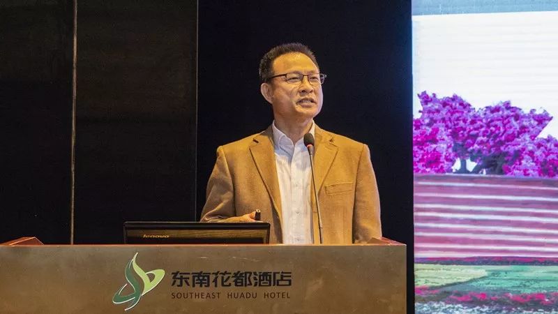 三角梅漳州培育基地,福建漳州三角梅产业