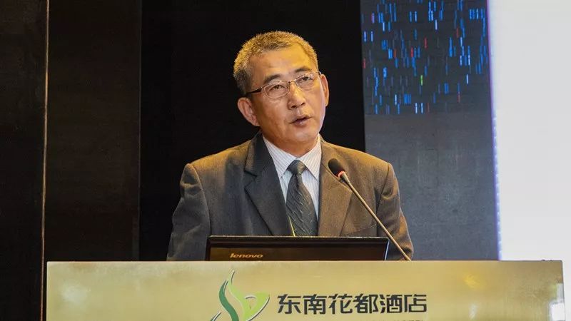 三角梅漳州培育基地,福建漳州三角梅产业