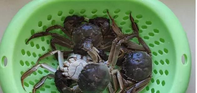 螃蟹水煮好吃还是蒸着吃好,吃螃蟹的正确方法蒸几分钟