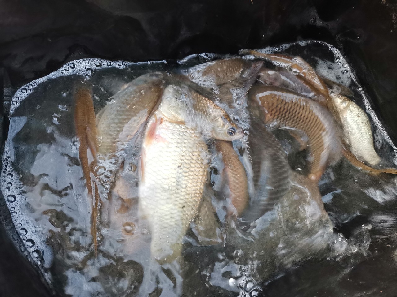 不钓鱼全是烦恼,不钓鱼心里没味道