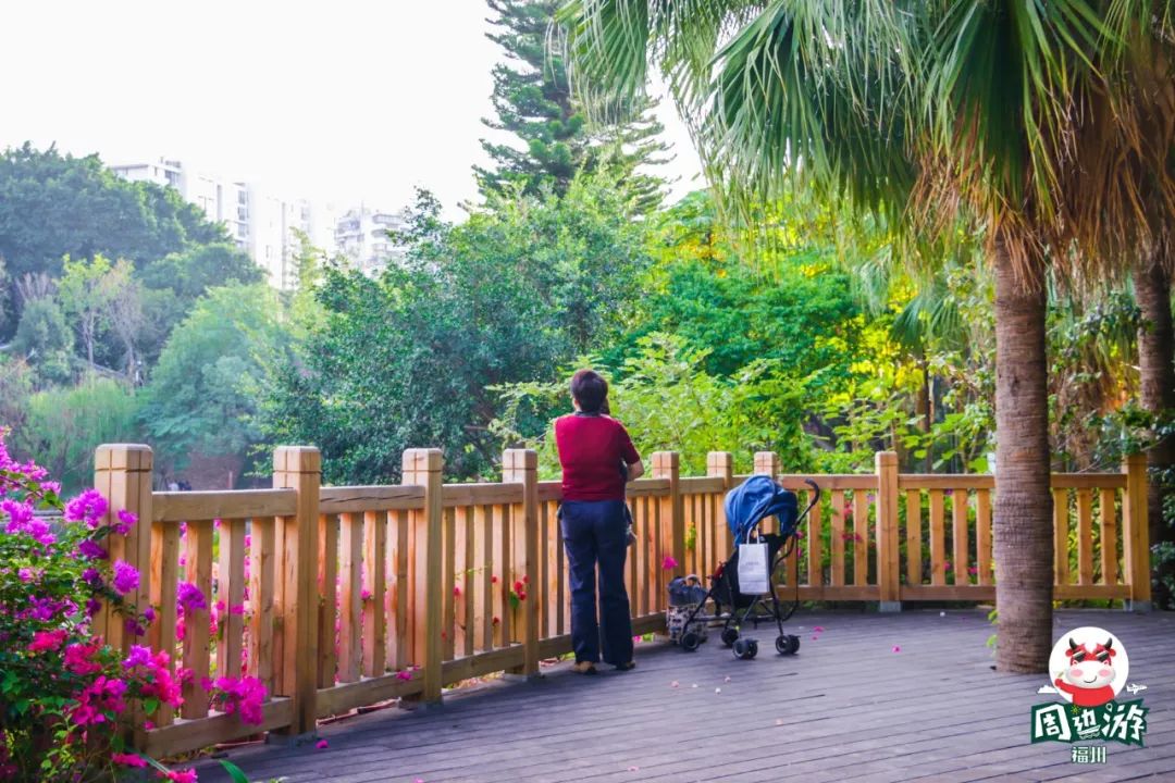 福州周边合适一日游的绝佳去处,福州烟台山一日游最佳路线图