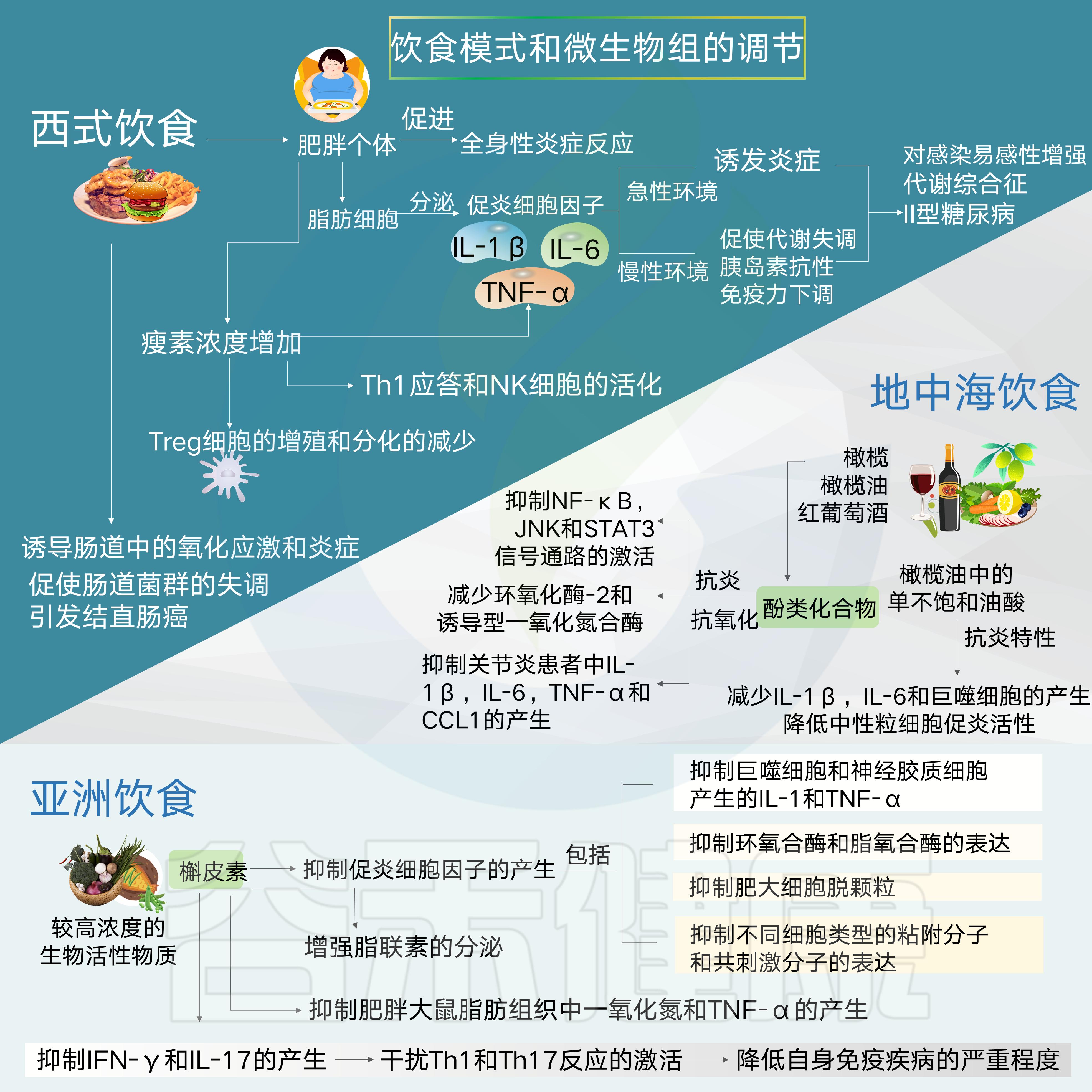 肠道菌群影响饮食文章,饮食与肠道菌群唇齿相依