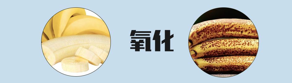 被网暴退学，被骂糊失业，初代宅男女神*局破**重生再翻红