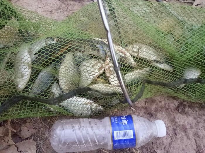 野钓装备大全,野钓装备有哪些