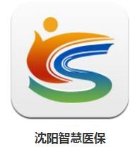 沈阳医保改革每个月买药多少钱,沈阳医保卡能够统筹买药吗