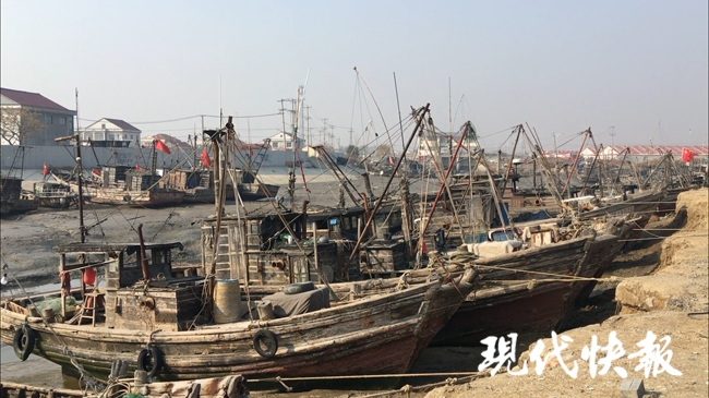 连云港海鲜直播带货赚多少钱一斤,连云港码头海鲜直播带货