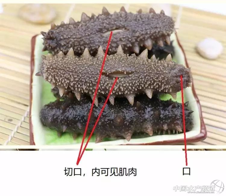 警惕！四五十元就能买一斤大海参？切莫贪便宜，可能是假的